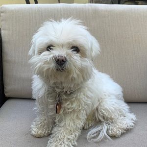 Meet your Posher, Natalie